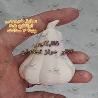 تصویر محصول قالب گچی کدو دراز نمکدان 6.5 سانتی گیوامولد