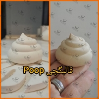 تصویر محصول قالب گچی poop گیوامولد